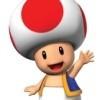 toad toad