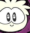 White Puffle White Puffle