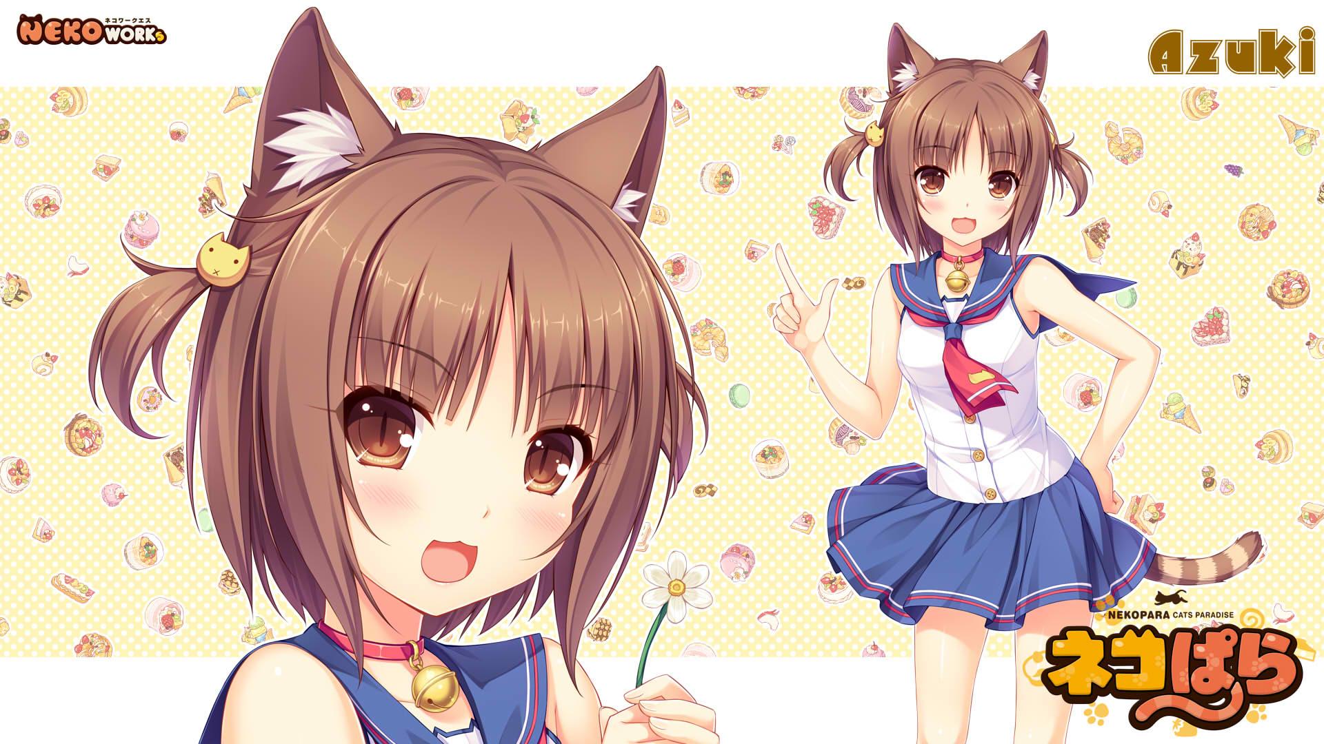 Azuki Azuki