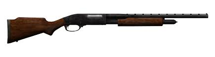 Shotgun Shotgun