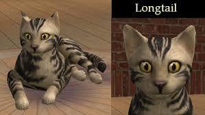 Longtail