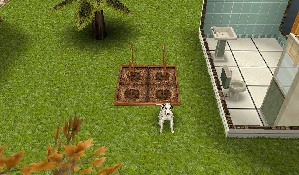 Dog (any breed) Dog (any breed)