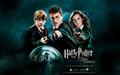 Harry Potter Harry Potter