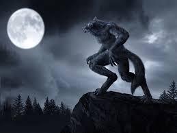 Werewolf Werewolf
