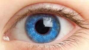 Blue Blue