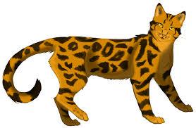 Leopardstar