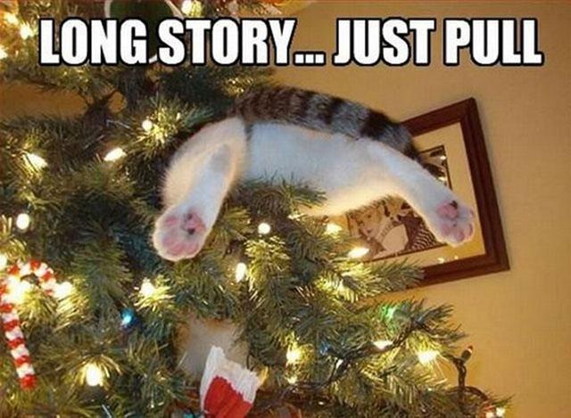 I couldn't resist with this one! I couldn't resist with this one!