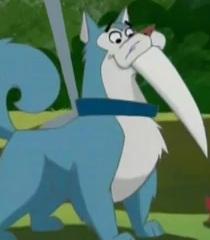 Tusky Husky? Tusky Husky?