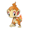 Chimchar (Sinnoh) Chimchar (Sinnoh)