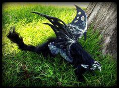 Mystical animal #6 Mystical animal #6