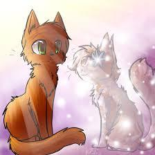 Firestar/heart and Spottedleaf