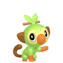 #810 Grookey