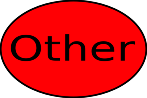 Other Other