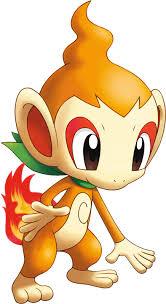chimchar chimchar