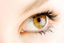 Hazel Hazel