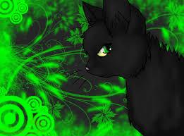 Hollyleaf