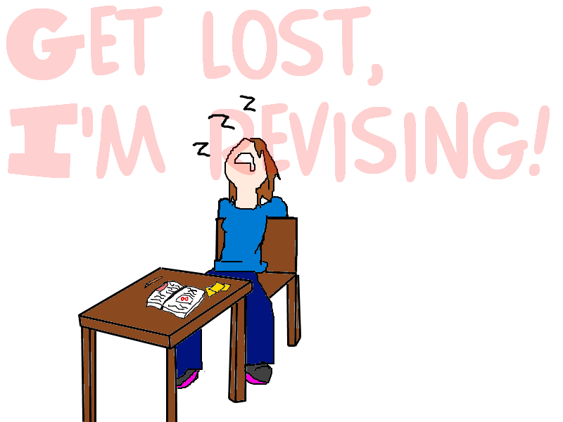 I don't revise I don't revise