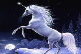 Unicorn Unicorn