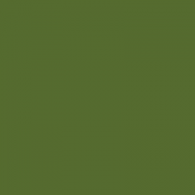 Olive Olive