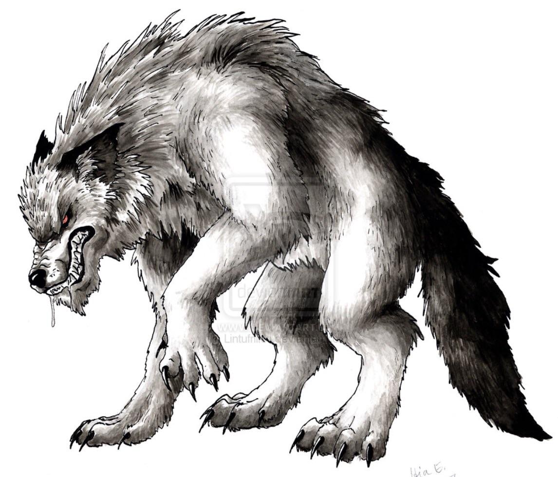 Werewolves Werewolves