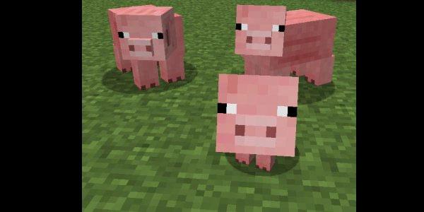 piggy piggy