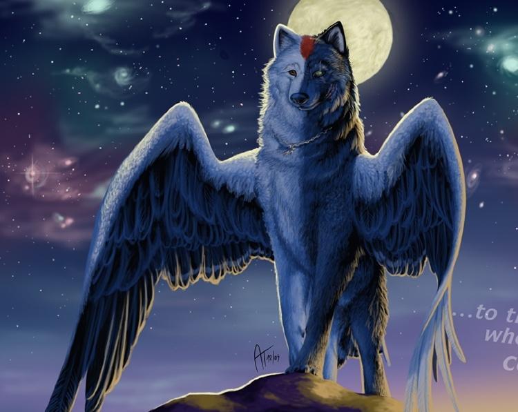 a majestic wolf with wings and can take over the minds of anything a majestic wolf with wings and can take over the minds of anything