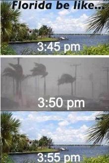 Florida weather, average temp: 82 degrees warm in winter, hot and humid in summer with lots of thunderstorms