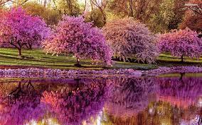 Spring Spring