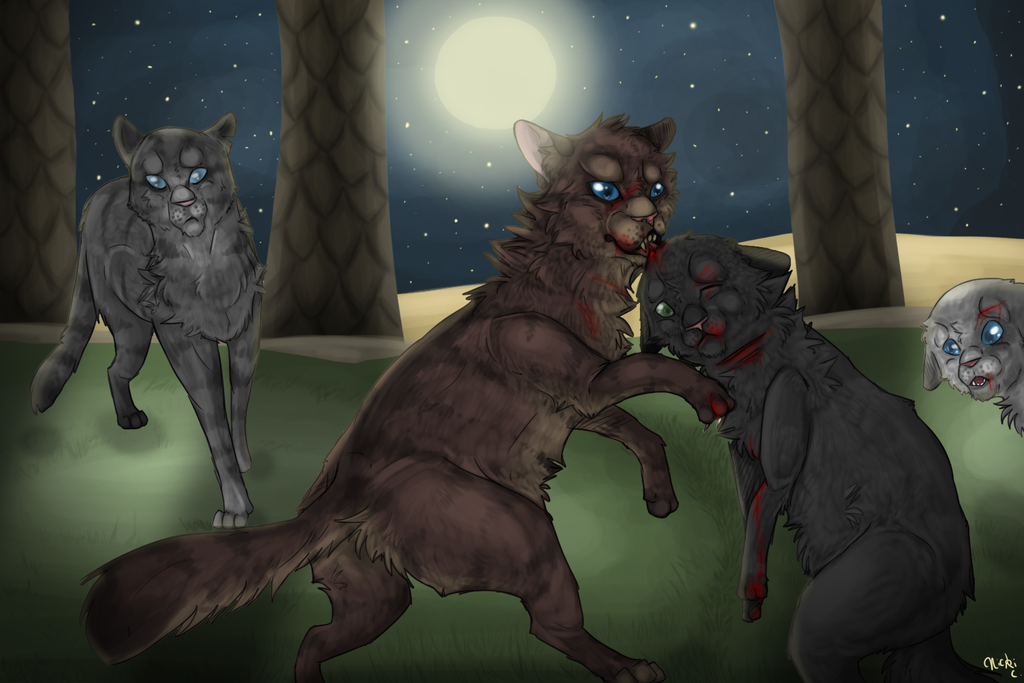 Hollyleaf Hollyleaf
