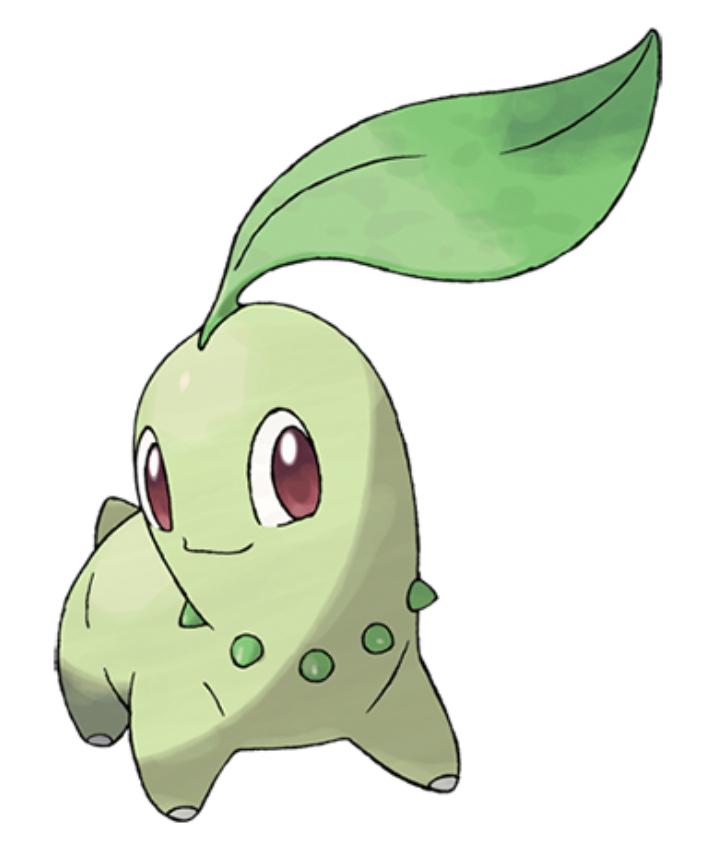 Chikorita Chikorita