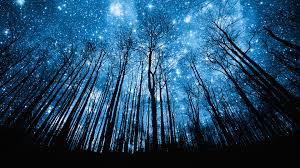 Night time Night time