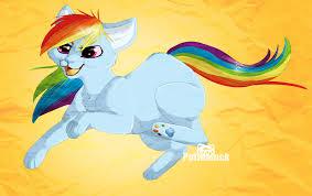 Rainbow dash cat form