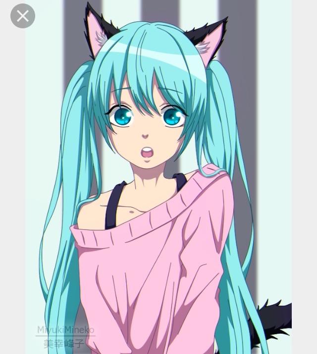 Do you like the gorgeous, Miku Hatsune?