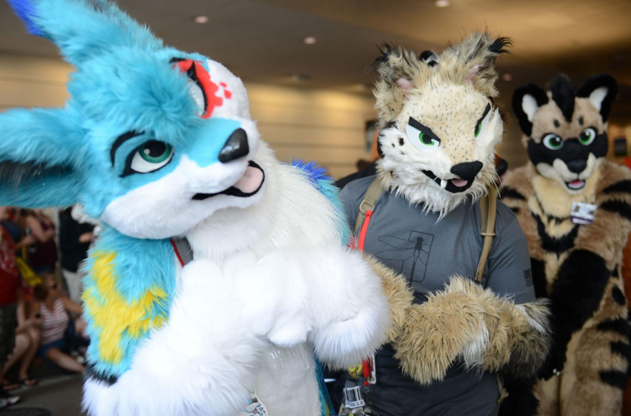 furry/acts like animal creature furry/acts like animal creature