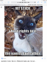 One: my stick, I have rights to it, the names jayfeather