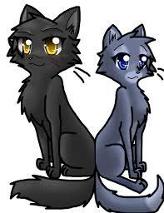 Yellowfang and Cinderpelt! no medicine cats could be more adorable than those two!