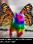Rainbow unicorn butterfly kitten! ?