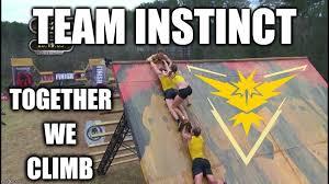 instinct instinct