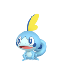 #816 Sobble
