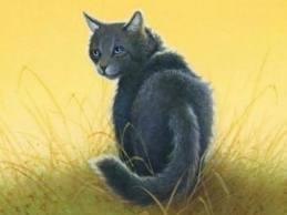 Cinderpelt