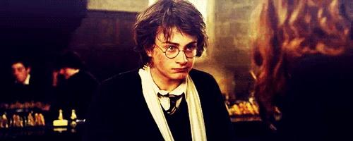 Harry Potter Harry Potter