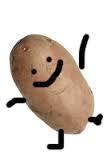 I don't know, I am a POTATO!