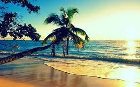 Summer Summer