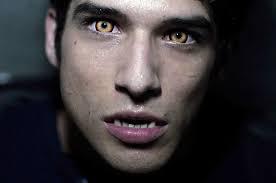 Scott McCall, the high school hottey with the hero complex... Scott McCall, the high school hottey with the hero complex...