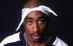 Tupac (King of Rap)