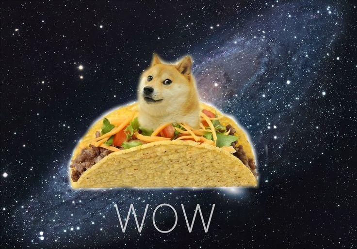 Doge Doge