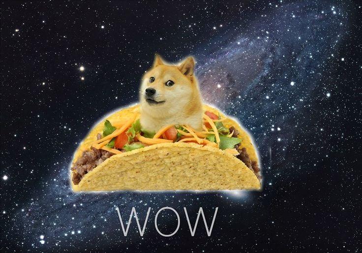 Doge