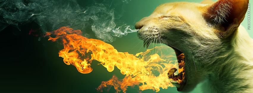 Flying Fire breathing Fluffy Harmless Kitten Flying Fire breathing Fluffy Harmless Kitten