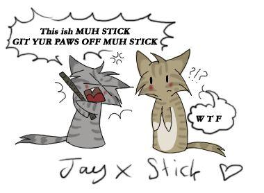 Jayfeather's Stick