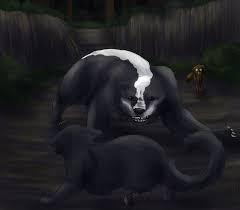 Cinderpelt Cinderpelt